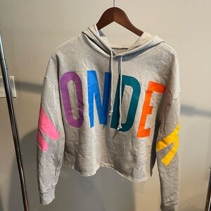 Flirtitude Active WONDER Rainbow Muti Cropped Gray Hoodie Sweatshirt